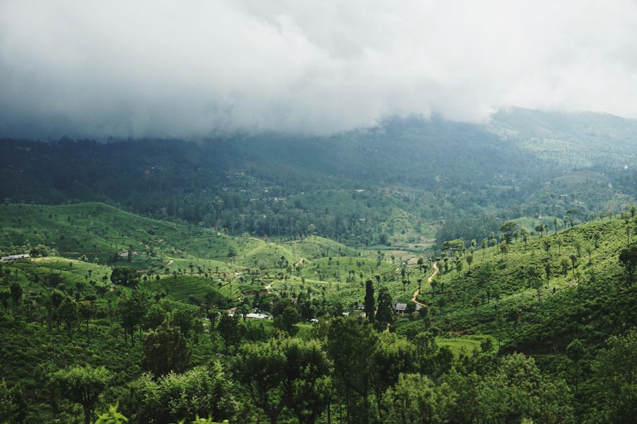Sri Lanka destination inspiration
